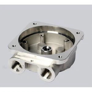 Stainless Hlau Peev Casting